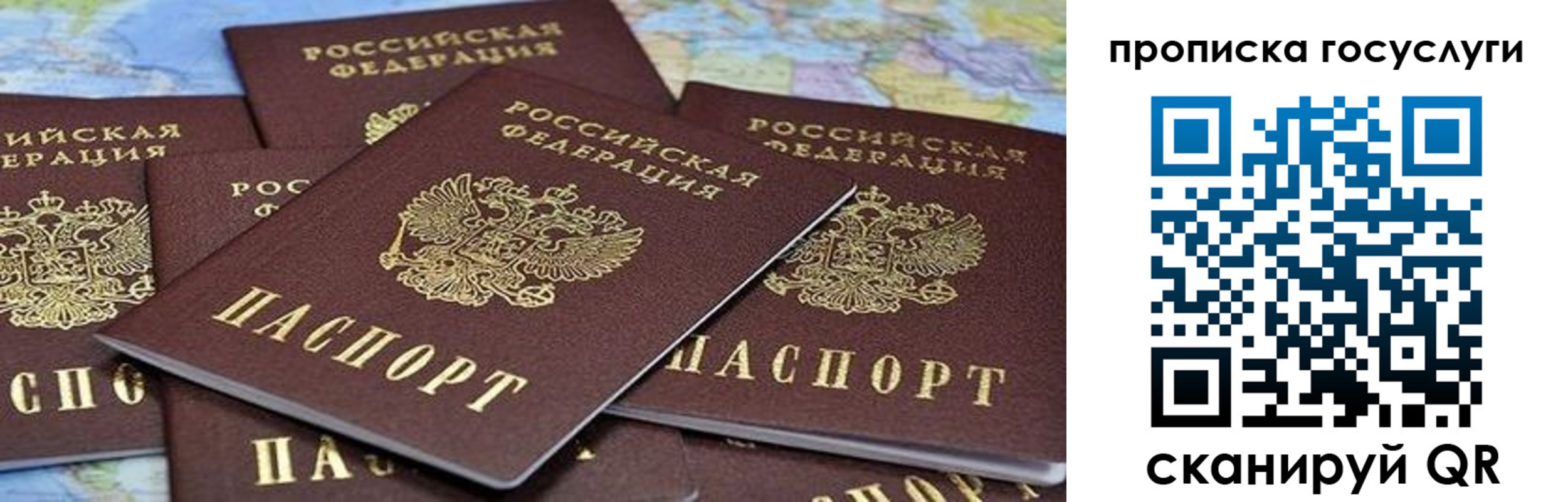 пропишу в квартире в Мурманской области