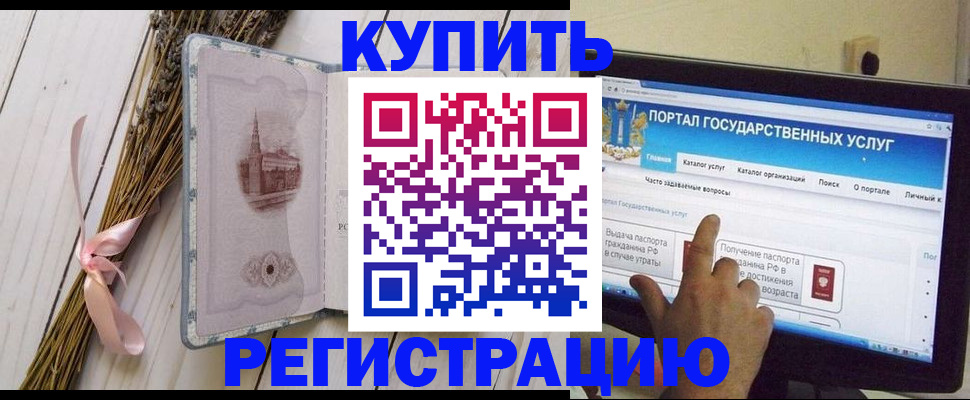 прописка поиск в Мурманской области